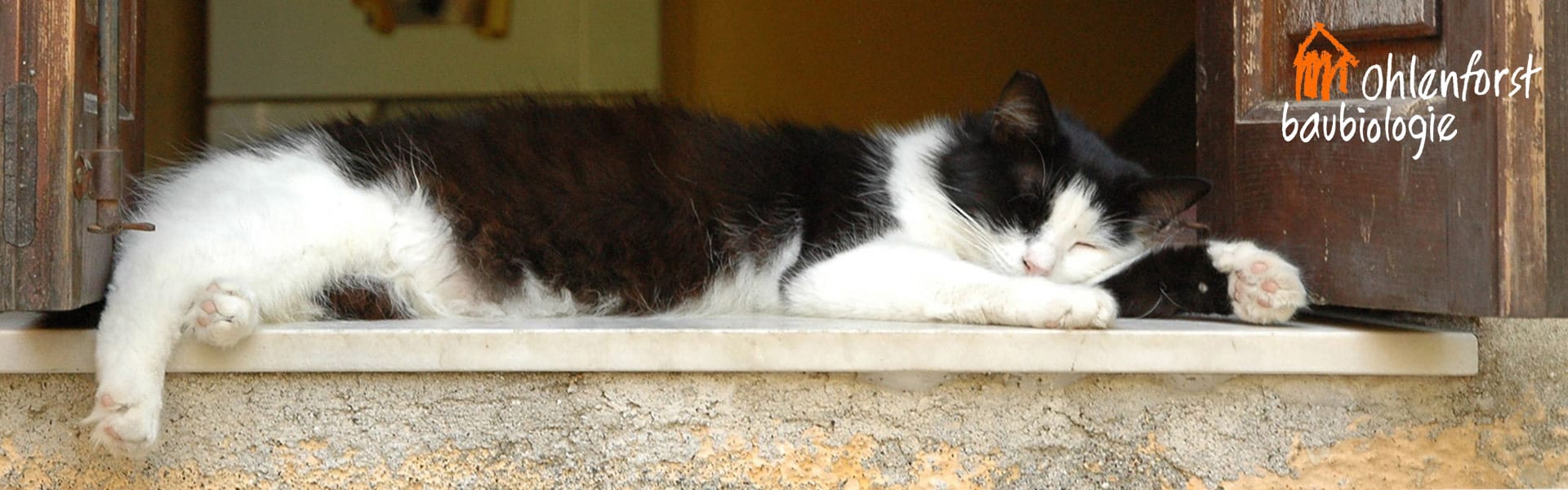 Schlafplatz der Katze auf einer Fensterbank